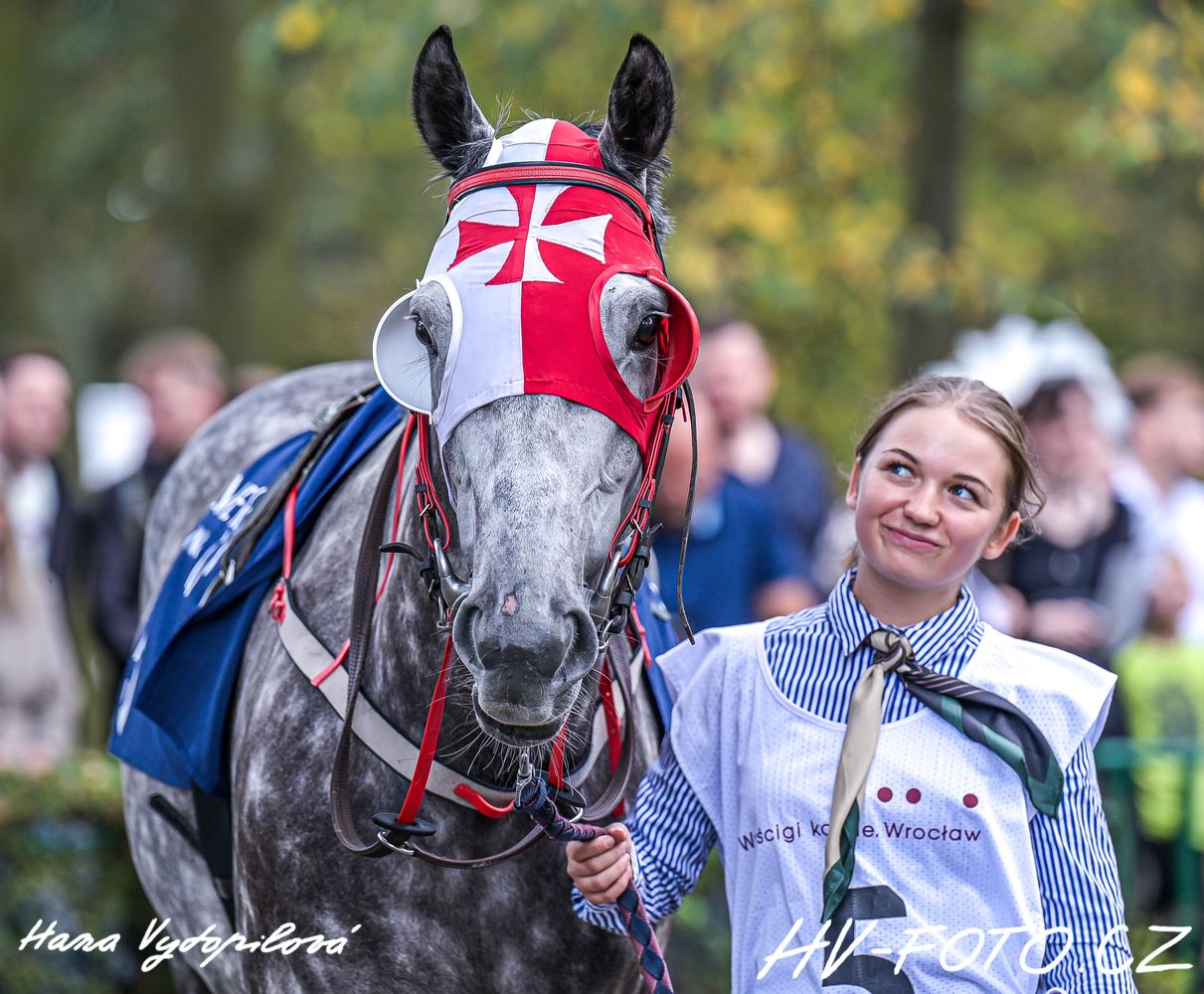 DSC_7340 kopie.jpg